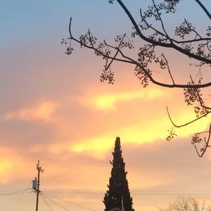 Meet your Posher, Lily